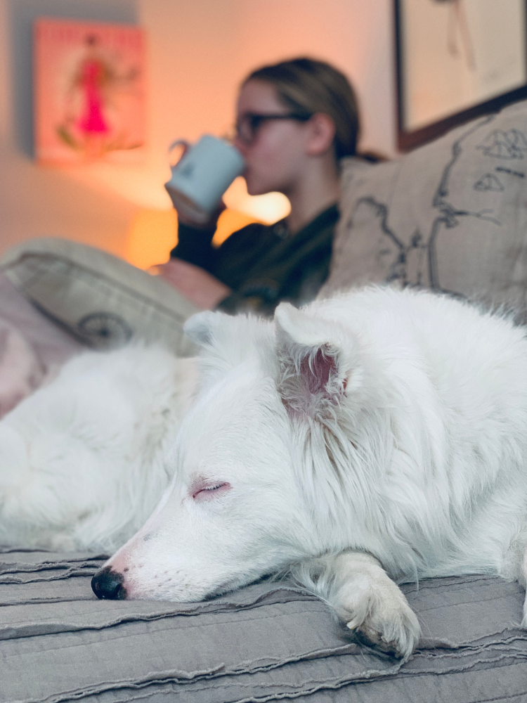 280+ Dog Names From the Movies