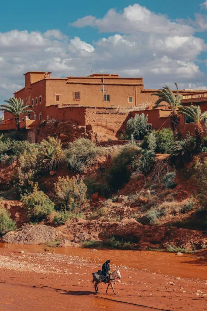 220+ Unusual Horse Names