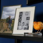 , orange bird on white picture frame