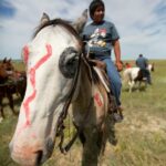 An apsaalooke/crow boy riding a horse, man in blue t-shirt riding white horse during daytime